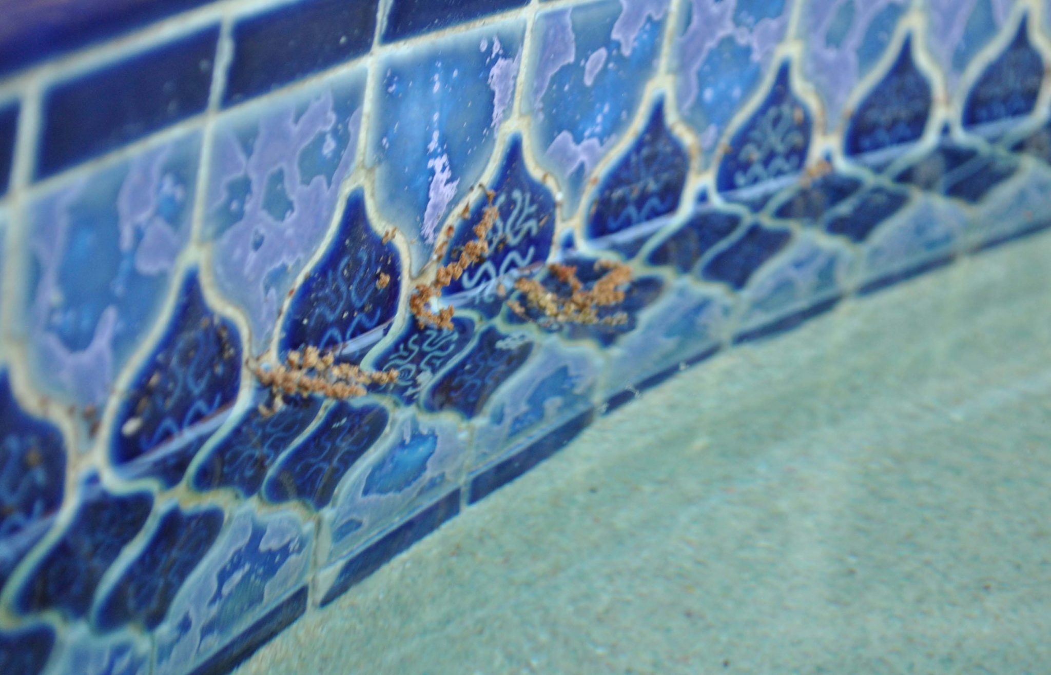 Pollen Season and Your Pool – AquaTek Pool Care & Repair