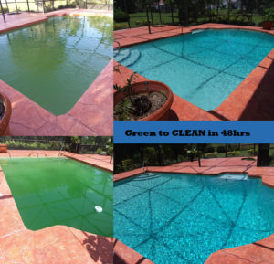 green to clean