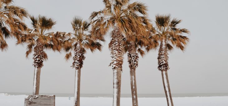 Winter Pool Service in Central Florida Can Be Tricky